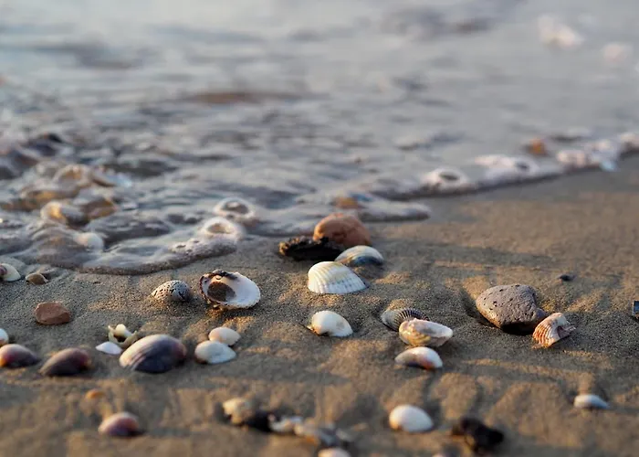 Lovely Flat In Pineda 100m From The